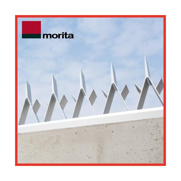 A~EѕԂ [AG] G[W[ 1m XcA~