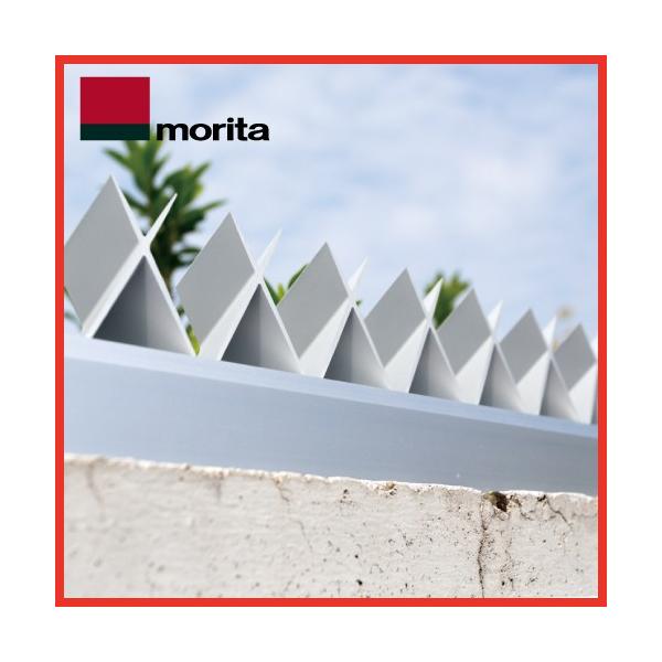 A~EѕԂ [AGx] G[W[GbNX 1m XcA~