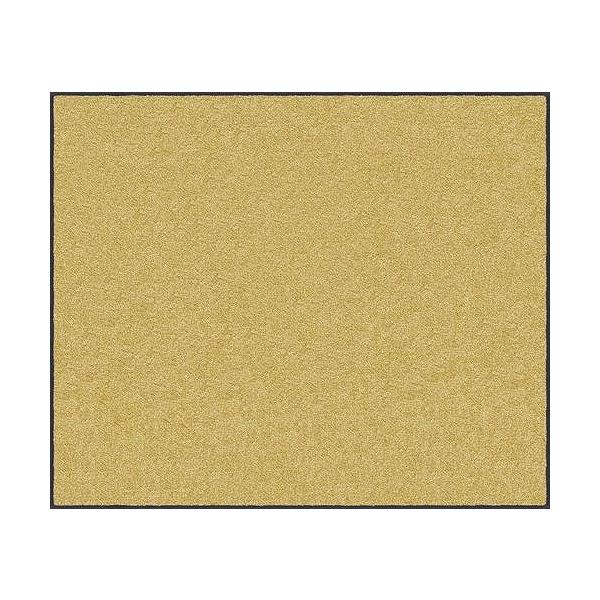 �}�b�g �X�^���_�[�h�}�b�gS  �^�� 90 × 120 cm [AM00071] �N���[���e�b�N�X ���[�J�[����