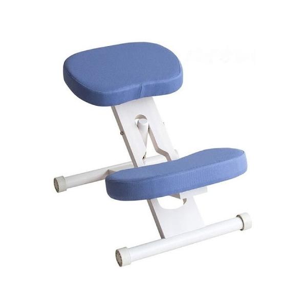 プロポーションチェア ホワイト脚バイオレット 組立式 キャスター付き 補助クッション別売 [613088143] CH-N88W-WHVI 宮武製作所 メーカー直送