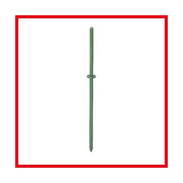 n՗p|pAJ[ [GD-85A] a1.2×H51cm/31cm ^JV[ Takasho[J[ @ll