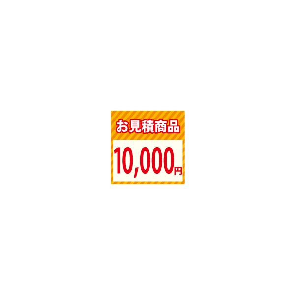 お見積り1万円