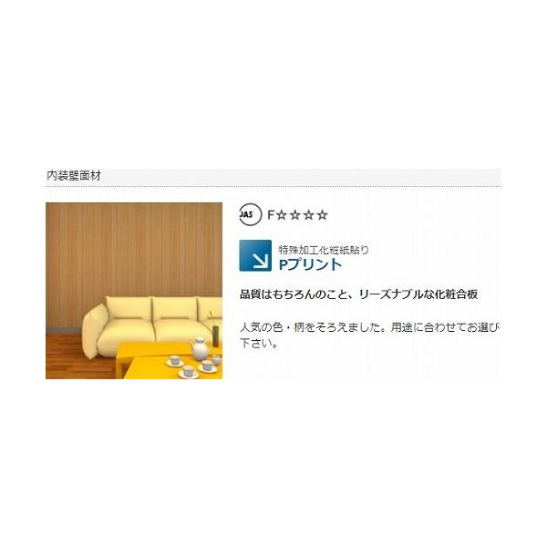 ύ Pvg [P-22] 2430×606×3.8  WFCh ە ԏn ԕis 10 s NgN @l [J[