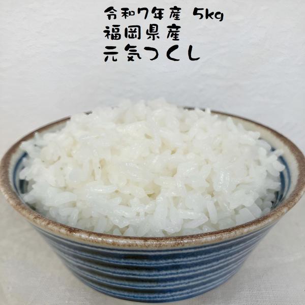 元気つくし お米 福岡県産 令和7年産 5kg 特A 減農薬 大粒 甘み強し
