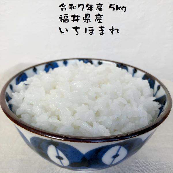 お米 いちほまれ 福井県産 令和7年産 5kg 特A 減農薬 やわらかめ お米