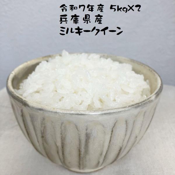 ミント ミルキー 白米10 ミント ミルキー 白米10 ミント様専用 ミルキー 白米10