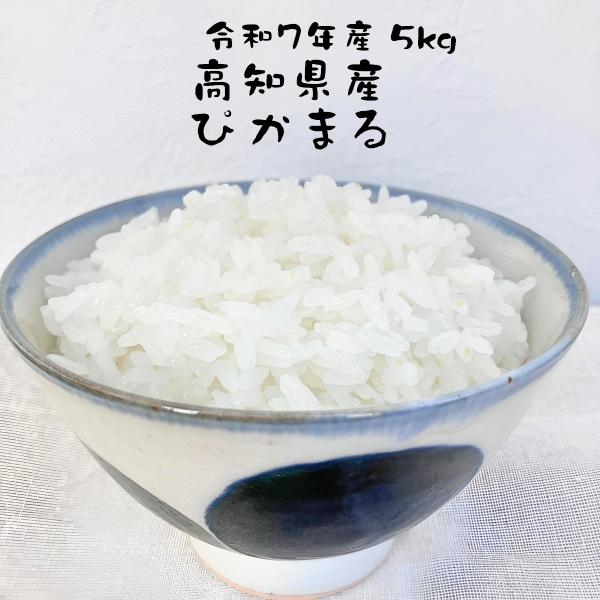お米 ぴかまる 高知県産 令和7年産 5kg 減農薬 低アミロース米 お米マイスター厳選 粘り強く甘い