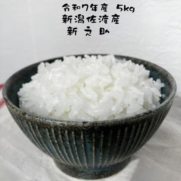 新之助（しんのすけ） お米 新潟県産 令和7年産 5kg 減農薬 重くない