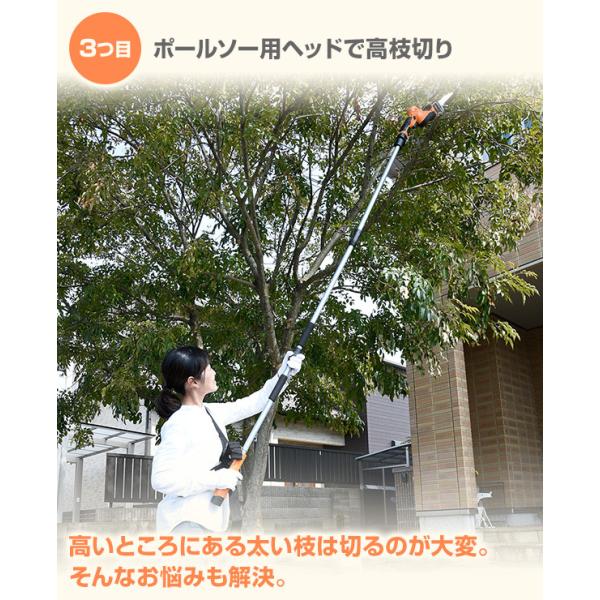4way ガーデントリマー 10 8v 充電式 高枝ポールトリマー ポールソー Lphs 1025 ヘッジトリマー 高枝切りバサミ 高枝切りばさみ 電動 軽量 Buyee 日本代购平台 产品购物网站大全 Buyee一站式代购 Bot Online
