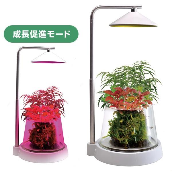 水槽用 照明 ライト Biosis ビオシス 水槽用照明 Ledライト 鑑賞魚 熱帯魚 アクアリウム アクセサリー ゼンスイ くらしのeショップ 通販 Paypayモール