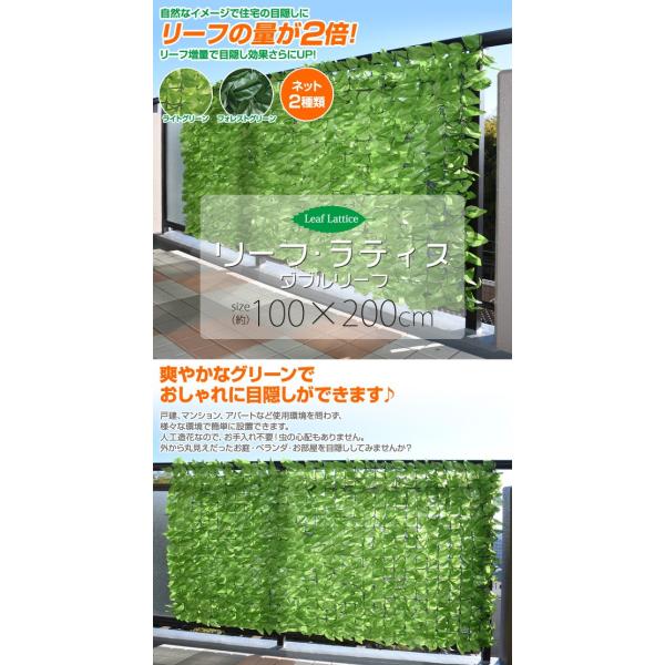 グリーンフェンス リーフラティス 約100 0cm ダブルリーフタイプ Llhw 12c Llsw 12c グリーンフェンス 緑のカーテン グリーンカーテン Buyee Buyee Japanese Proxy Service Buy From Japan Bot Online