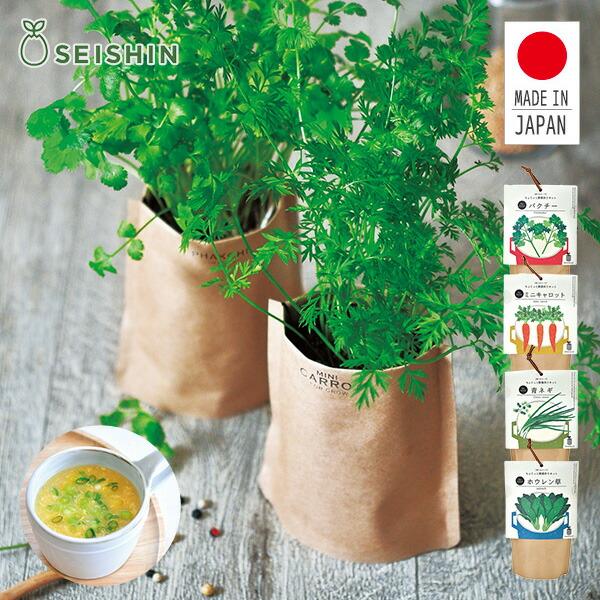 種 ミニキャロット 栽培の人気商品 通販 価格比較 価格 Com