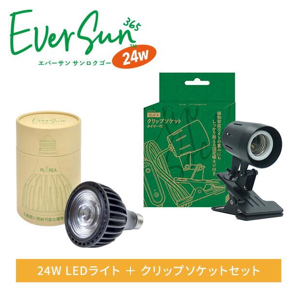 ゼンスイ 植物育成ライト EVERSUN365 クリップソケットセット : くらし