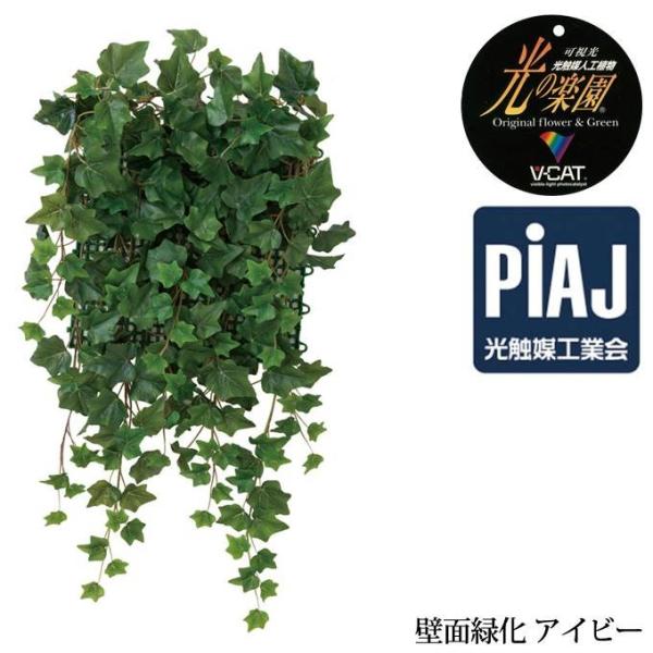 観葉植物 光触媒 おしゃれ 壁面 壁掛け 壁面緑化アイビー お祝い Buyee Buyee 日本の通販商品 オークションの代理入札 代理購入