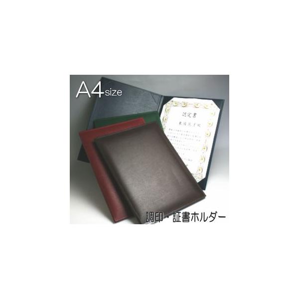 E؏z_[@A4@zU[@i܏z_[A؏t@Cj