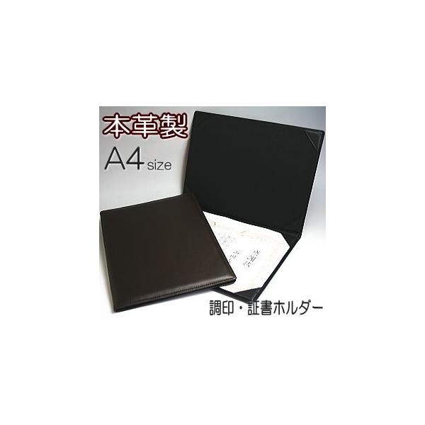 E؏z_[@A4@{v@i܏z_[A؏t@Cj