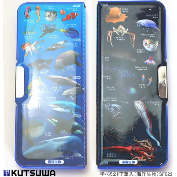 筆箱 学べる2ドア筆入れ 海洋生物 深海魚 コンパクトで大容量 人気の