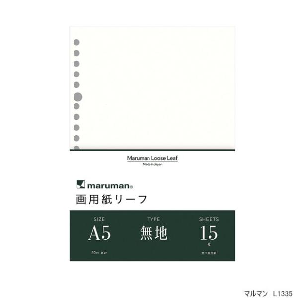 【89】Liiページ　おすそ分けファイル　A5 バインダー A5バインダー✴︎おすそ分けファイル - メルカリ