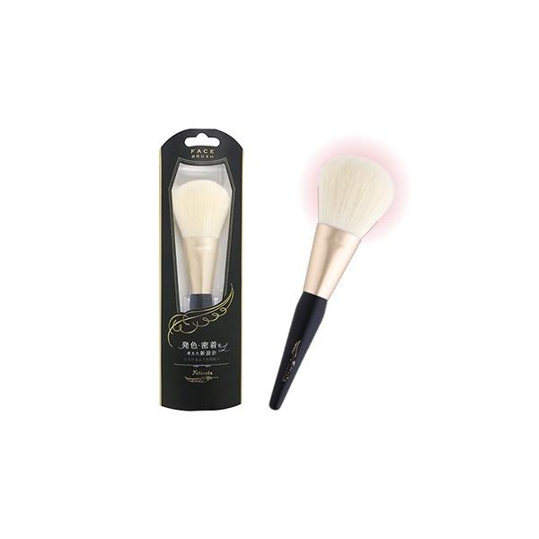 CNuV [X vXgpE_[ tFZtFCXuV