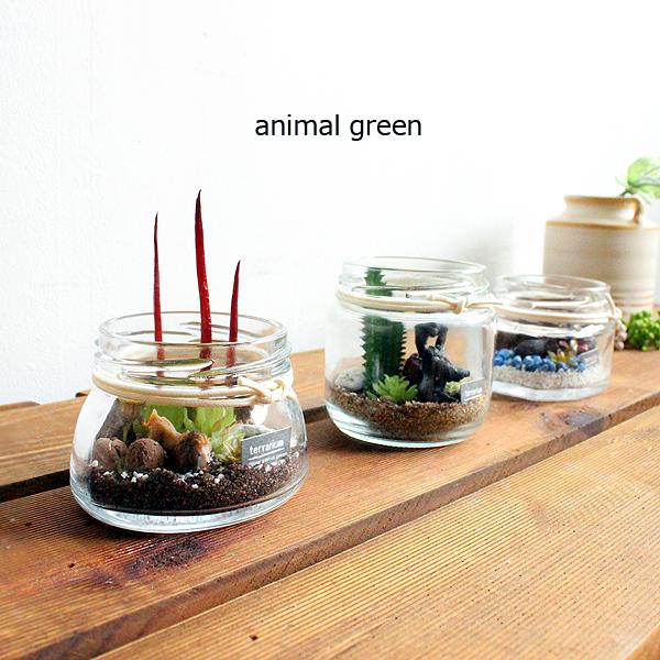 動物たちが暮らす大自然をイメージしたテラリウムかわいいナチュラルなグリーン雑貨です♪■animal green テラリウム（ライオン　ゴリラ　カバ）（造花）■サイズ　Φ6.5×H7cm（ゴリラ）■サイズ　W8×D6.5×H5.5 cm（ライ...