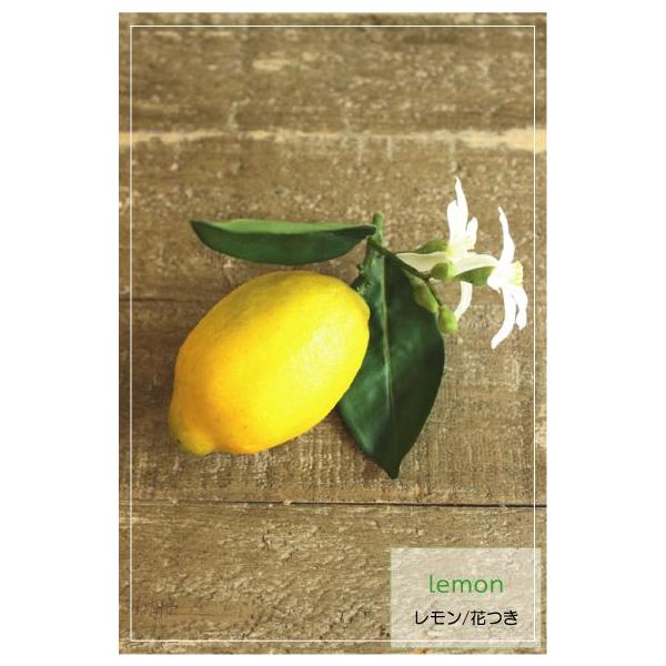 ＊*..レモン色のお花をいっぱい盛り込んで..＊°..ナチュラル　お花の贈り物 出版祝いの花ギフト・気持ちで贈る】かわいいアレンジメント S