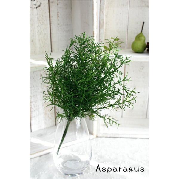 ナチュラルなアレンジにかかせないアスパラガスファーン♪お花やグリーンとあわせてナチュラルなアレンジに♪＊写真の花器やかごは別売りです■アスパラガスファーンバンチ　３本１束　（造花・未触媒)■サイズ　葉径4〜9cm 長さ 23cmフェイクグリ...