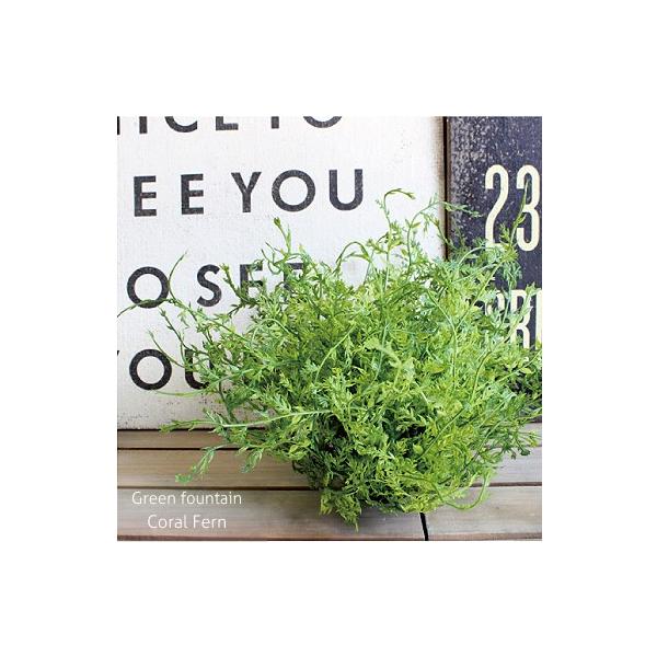 R[t@[ Green fountain 41731  tFCNO[ CTG}