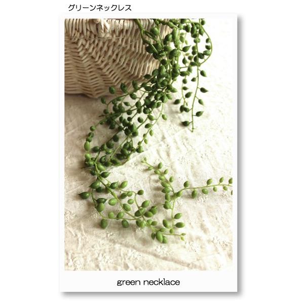 コロコロとかわいいのグリーンネックレス。オシャレなインテリアとして雑貨との相性も◎■グリーンネックレス（造花）■材料　ポリエステル／ポリエチレン／ビニール樹脂コート■サイズ　全長 60cm（持ち手16cm含）