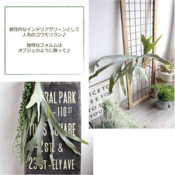 コウモリラン L ビカクシダ 観葉植物 造花 インテリア 葉っぱ リアル 送料無料 一部地域を除く Ct触媒 吊り下げ おしゃれ