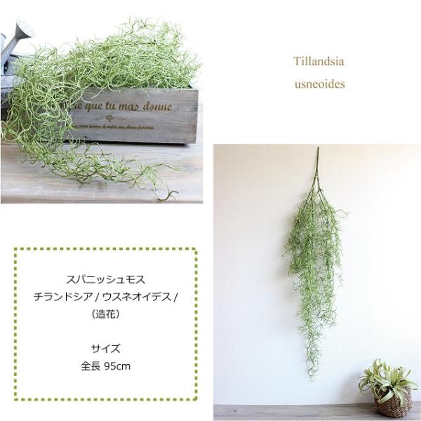 スパニッシュモス チランドシア ウスネオイデス 造花 インテリア フェイクグリーン Ct触媒 観葉植物 チランジア ティランジア ティランドシア Buyee Buyee Japanese Proxy Service Buy From Japan Bot Online