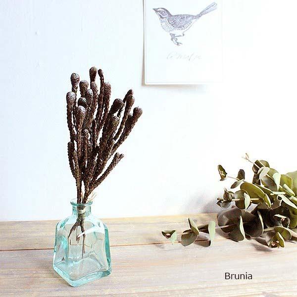 ドライタッチのブルニアフレームアレンジやシンプルに飾って■ブルニアS（造花）■サイズ 全長23cm■材料 ポリエチレン／ビニール樹脂コート※環境によって、色が微妙に違って見える場合がございます。フェイクグリーンのお店 みんとかふぇ ミントカ...