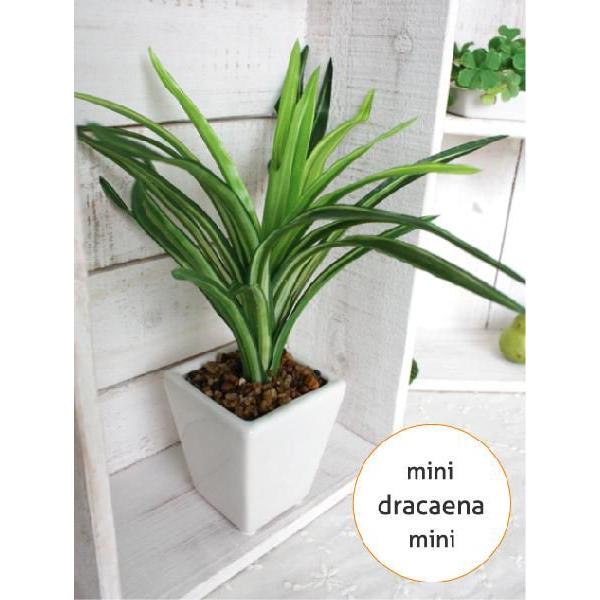 ~j~jhZi 22cm @ CeA ϗtA G} CTG} tFCNO[