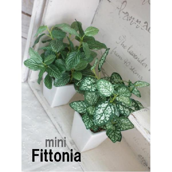 ϗtA ~jtBbgjA 18cm@ tFCNO[ G} CTG}