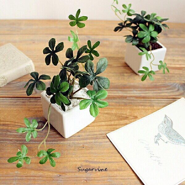 可愛い葉っぱが当店でも大人気のシサスアイビーシュガーバイン♪♪(人工観葉植物)清潔感のある真っ白な花器はキッチンや洗面所にもぴったりですよ!■シサスアイビーシュガーバイン（造花）■光触媒加工 or CT触媒加工■材料　ポリエステル／ポリエチ...