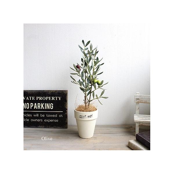 オリーブ お歳暮 40cm 造花 インテリア Ct触媒 人工観葉植物 消臭