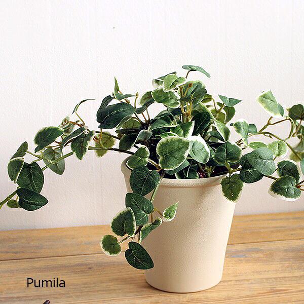 プミラ 20cm 造花 フェイクグリーン 観葉植物 CT触媒 : フェイク