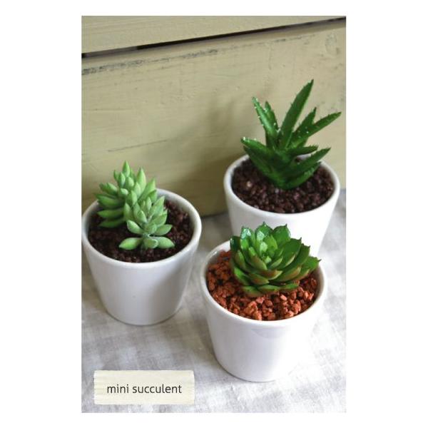 フェイクグリーン ミニサキュレント 多肉植物 丸鉢 Succulent 造花 Ct触媒 Leprincenoir Restaurant Fr