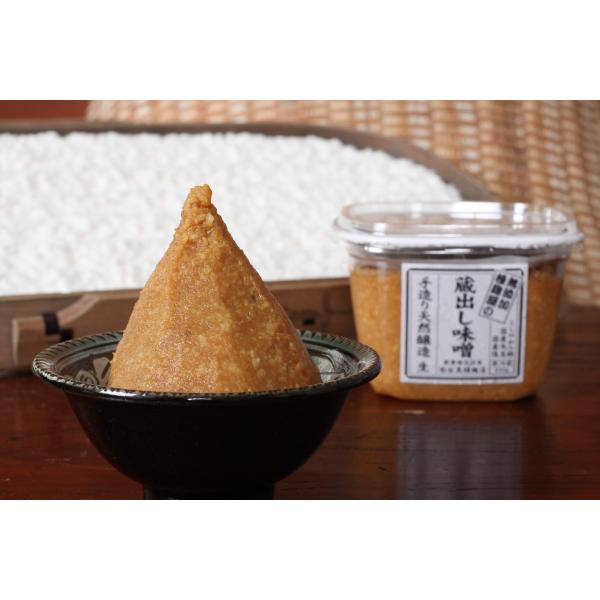 y΍퍍X zoX650s28NnƂ̖kB̎퍍荍ӂ񂾂ɂAVRAɂYXto݂