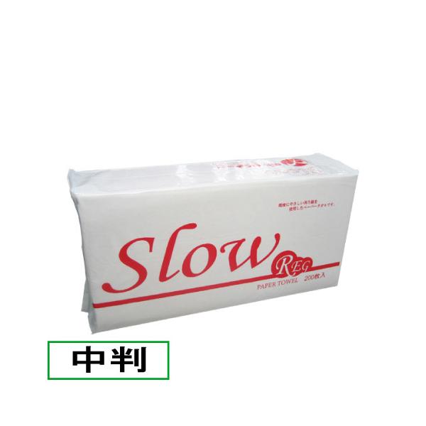 Ɩpy[p[^I  Slow REG 200×30 6000