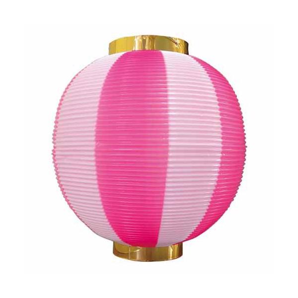 |񓔁E񓕁i傤j 8876 ڊ sN