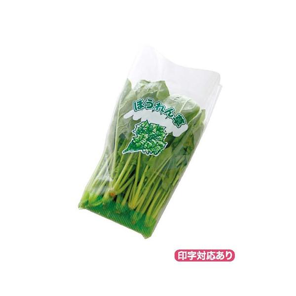 ؑ_NEWVNpbN ق񑐁ij1 Op 5000