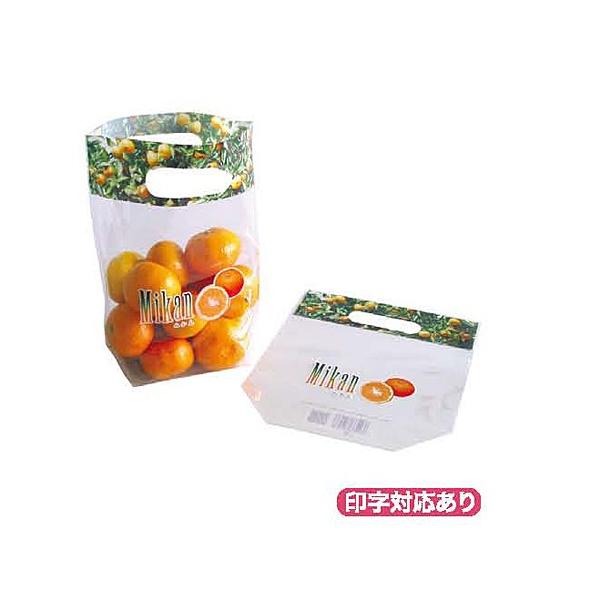 ؑ_J[X^hpbN ~Jij 2000