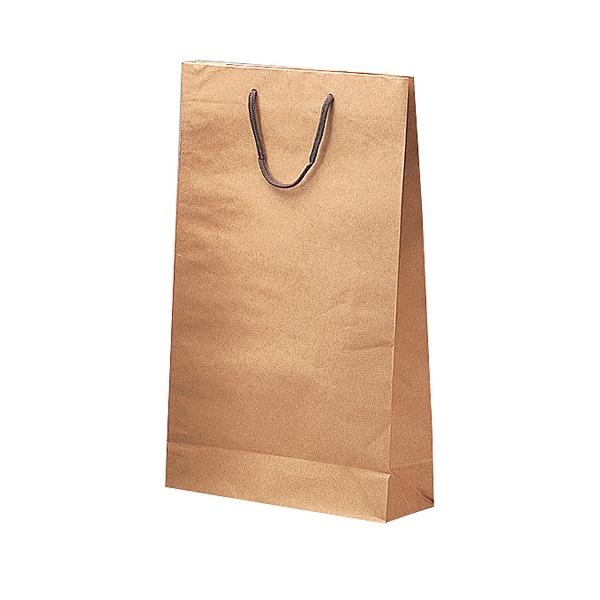 iK-246j܈ꏡr2{p 100