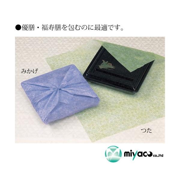 H sDzC~j[NXbp[ ݂900 300