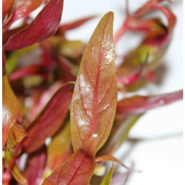 ijAeie@CL[@i`jAbNX@R{