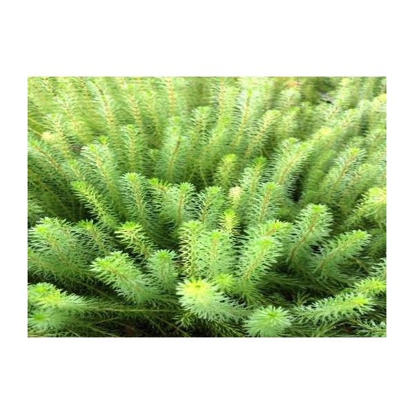 ij^@ro@xgi@bhiT{jׂԗt@Y