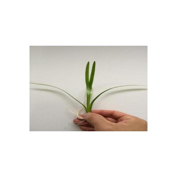 ijTW^AEi^XiT{j@Y@vȐ