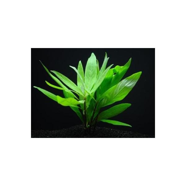 ijWCAgnCOtBiR{)@^̃nCOtB@Y@@