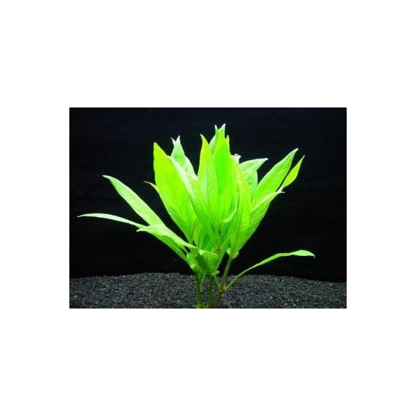 ij{[NnCOtBiR{)@^̃nCOtB@Y@