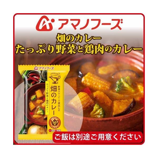 アマノフーズ フリーズドライ 畑のカレー たっぷり 野菜 と 鶏肉 の カレー 1食 即席 インスタントカレー 母の日 21 父の日 ギフト 新生活 Buyee Servicio De Proxy Japones Buyee Compra En Japon